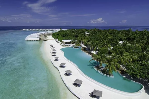 malediven urlaub pool lagune palmen strand weißer sand