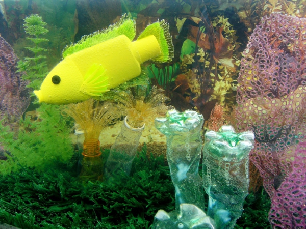 pet flaschen kunst aquarium fisch korallen algien