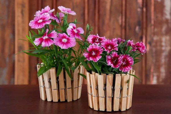 DIY Pflanztöpfe mit Wäscheklammern aus Holz 