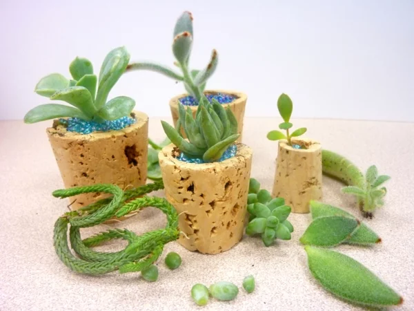 Mini DIY Pflanztöpfe aus Korken für Sukkulenten 
