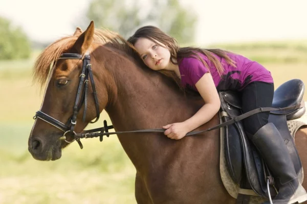 tiergestützte pedagogik tiere als therapie pferd tiertherapie