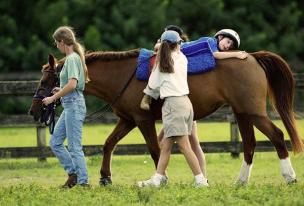 tiergestützte therapie tiere als therapie pferd tiertherapie