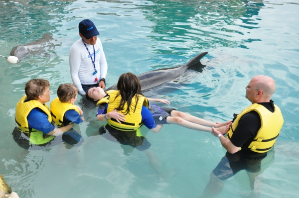 tiertherapie tiere als therapie delfintherapie tiergestützte pedagogik