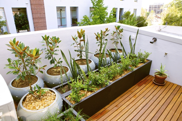 balkonbepflanzung große pflanzenbehälter holzboden