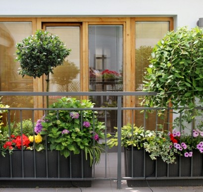 Balkonbepflanzung - Den Balkon Vor Freude Strahlen Lassen!