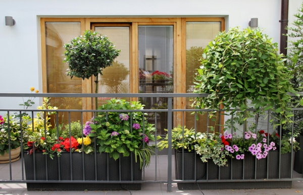 balkonbepflanzung ideen elegante balkongestaltung schöne blumen