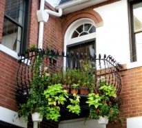 Balkonbepflanzung – Den Balkon vor Freude strahlen lassen!