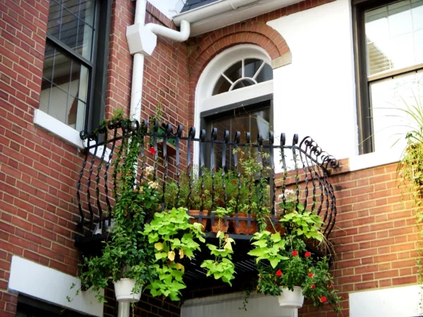 balkonbepflanzung kleinen balkon gestalten