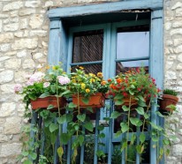 Balkonbepflanzung – Den Balkon vor Freude strahlen lassen!