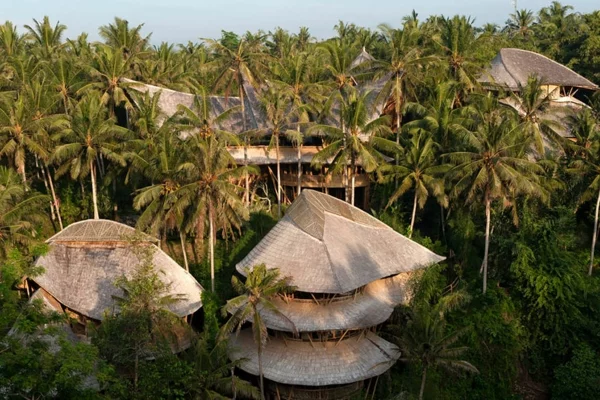 bambus holz traditionelle architektur palmen