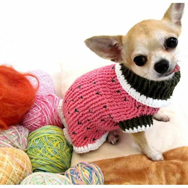 DIY Projekte Hundepullover selber stricken Garn zweifarbig rosa schwarz Chihuahua