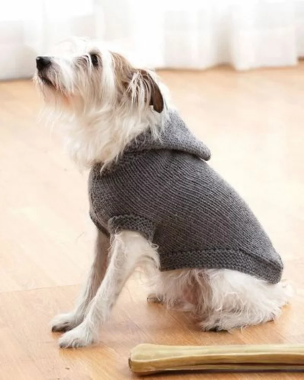 Hundepullover selber stricken grau einfarbig Modell mit Kaputze DIY Projekt für Haustiere