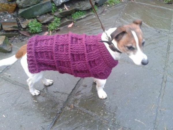 Hundepullover selber stricken oder aus einem alten Pulli