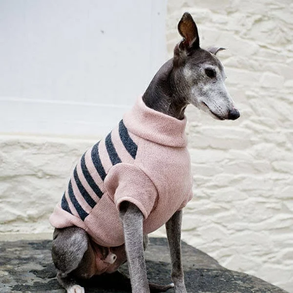 Hundepullover selber stricken mit Ärmeln rosa schwarze Streifen Hund vor Ausgehen 