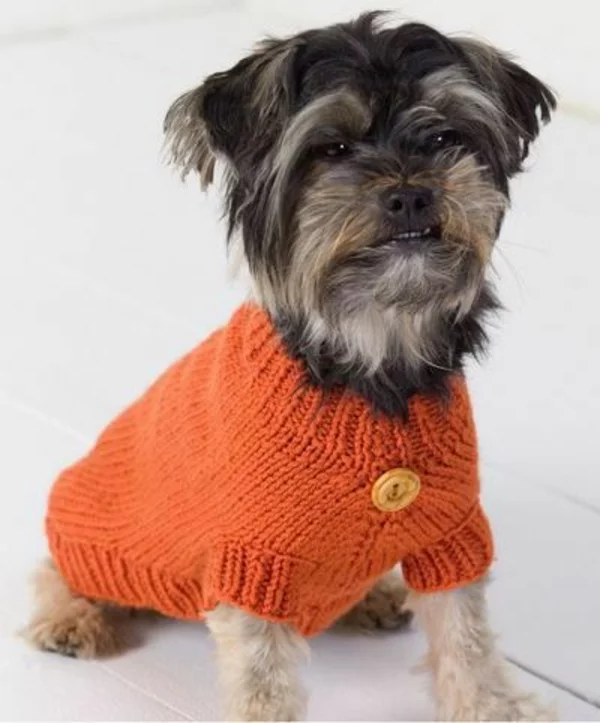 Hundepullover stricken aus altem Pulli selber machen orange Wolle mit Knopf