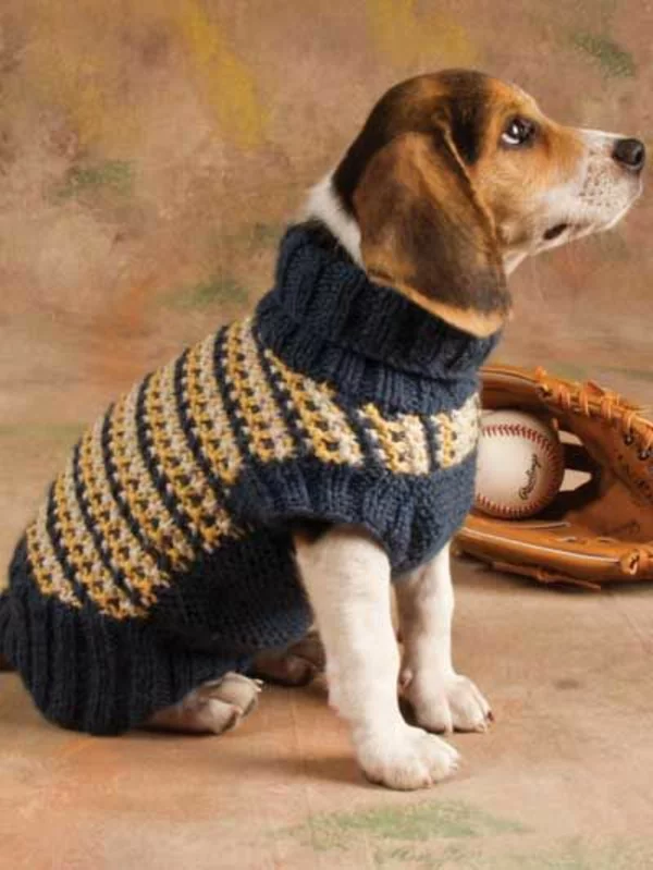 DIY Projekte Hundepullover selber stricken Muster mit Streifen anziehen vor Gassi gehen