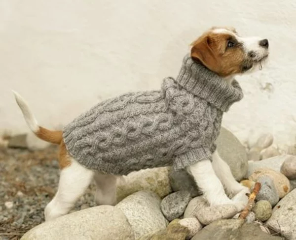 Hundepullover stricken Vierbeiner warm halten Pulli mit Rollkragen aus grauer Wolle 