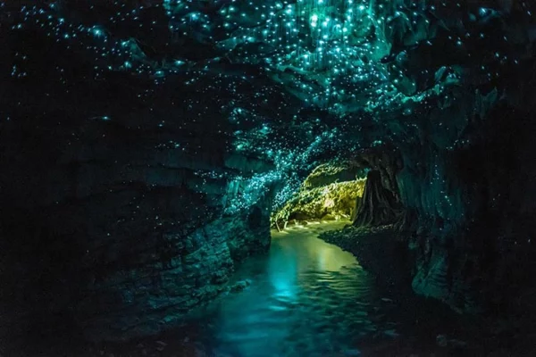 planet erde waitomo glowworms cave neu seeland