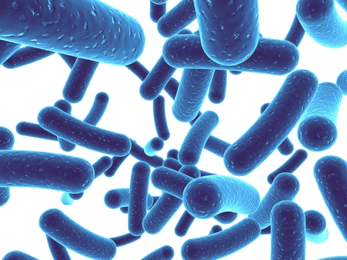 probiotika gute bakterien milchsäurebakterien