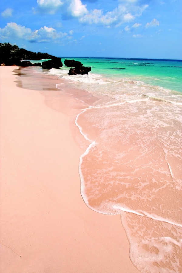 schönste-strände Pink Sand Beach Bahamas