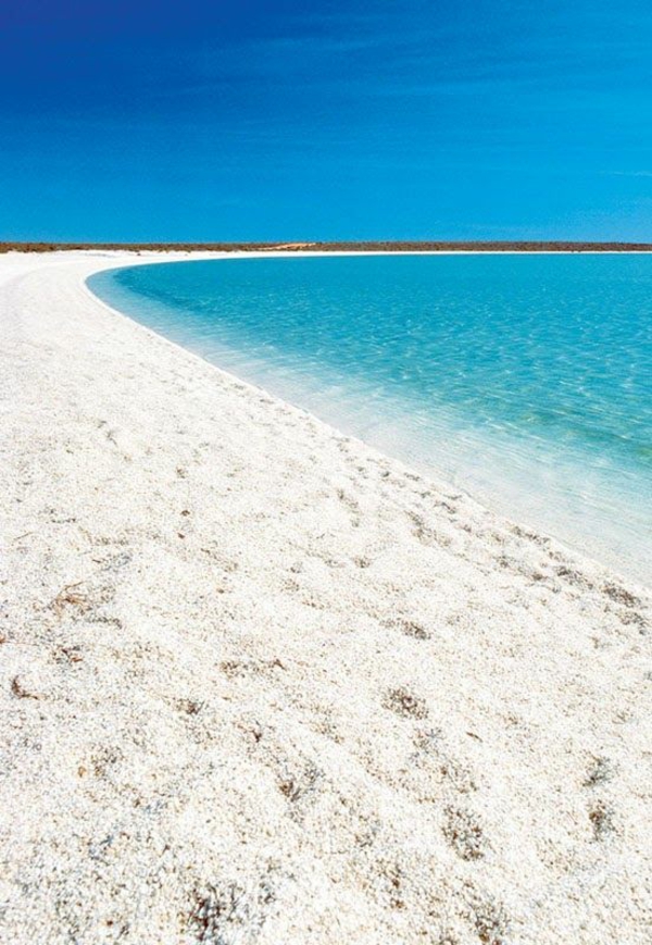 schönste strände shell beach australia