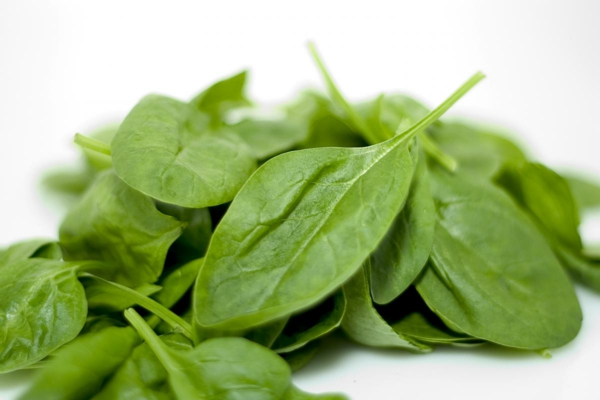 steinbock sternzeichen gesunde ernährung blattgemüse spinat