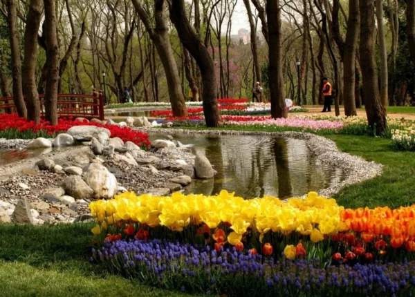 tulpen bilder türkei emirgan park frühling