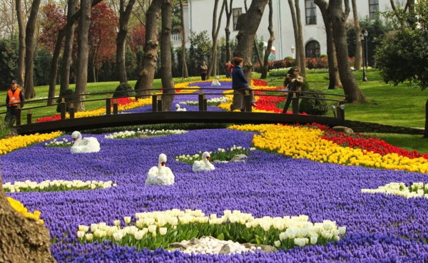 tulpen bilder türkei emirgan park istanbul schwäne fluss brücke