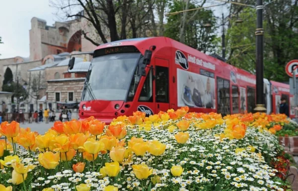 tulpen bilder türkei istanbul stadt festival