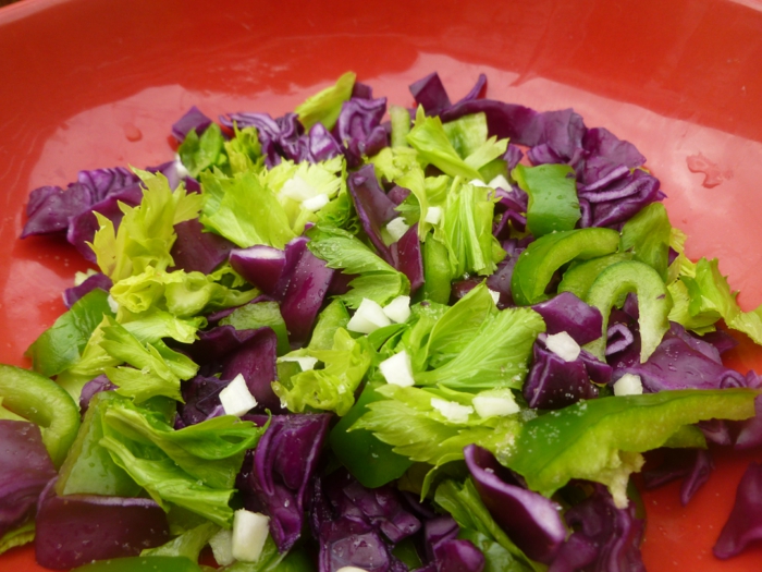 detox-kur-frischer-salat-rotkraut-paprika-petersilie