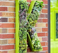 Grüne Wände – saftige, vertikale Gärten für Ihr Zuhause gestalten