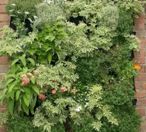 Grüne Wände – saftige, vertikale Gärten für Ihr Zuhause gestalten