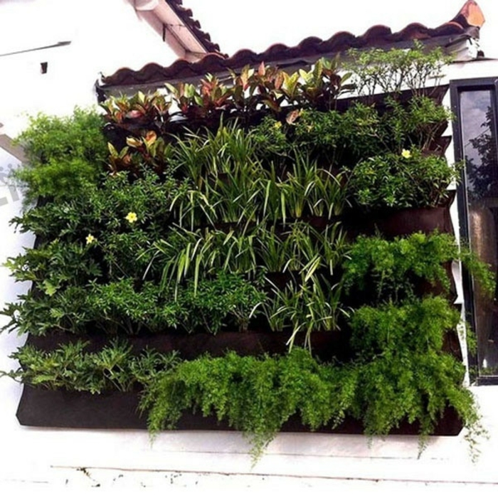 grüne wände pflanzen vertikaler garten