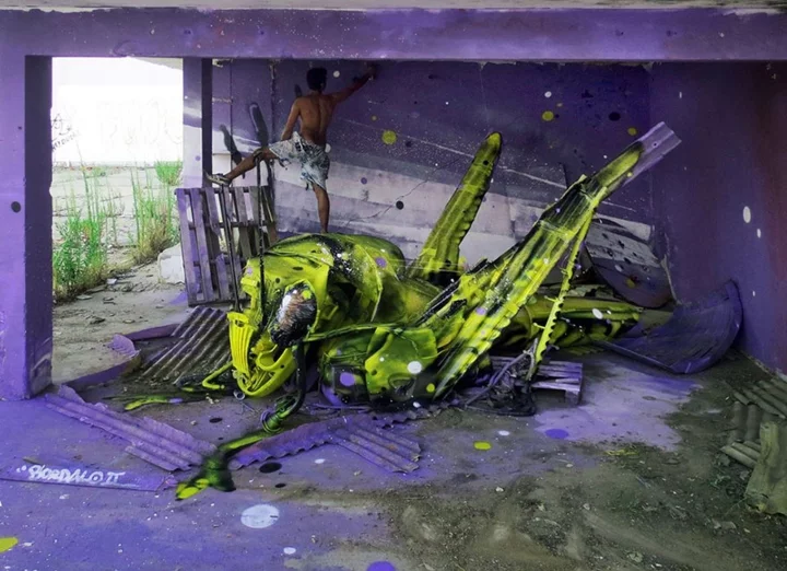 kunst aus müll streetart künstler Bordalo Segundo heuschrecke