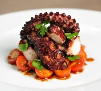 Möchten Sie einen knusprigen Oktopus kochen? Testen Sie unser Rezept!