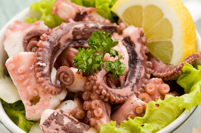 oktopus kochen rezepte oktopus zubereiten frischsalat