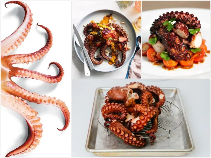 oktopus kochen rezepte oktopus zubereiten produkte