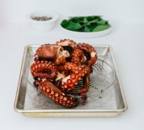 Möchten Sie einen knusprigen Oktopus kochen? Testen Sie unser Rezept!
