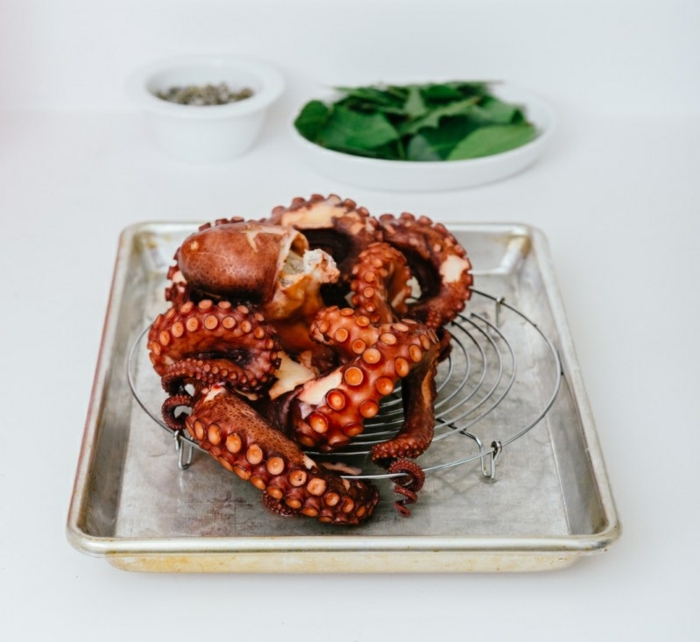 oktopus kochen rezepte wie kann man oktopus zubereiten