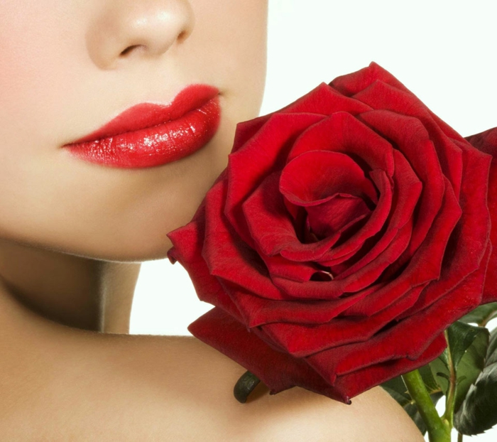rote rosen schönheit feminin