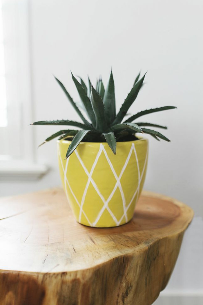 schöne dekoideen zimmerpflanze ananas dekorativ