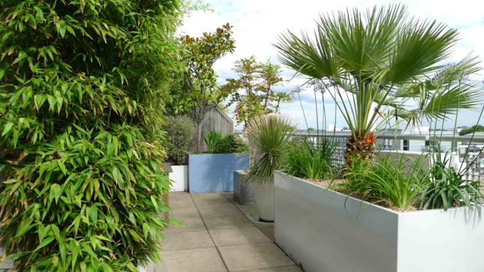 moderne terrassengestaltung große pflanzgefäße terrasse bepflanzen