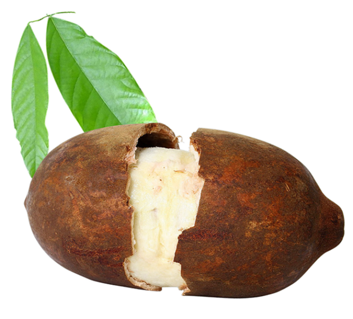 tropische früchte Cupuaçu großblütiger kakao