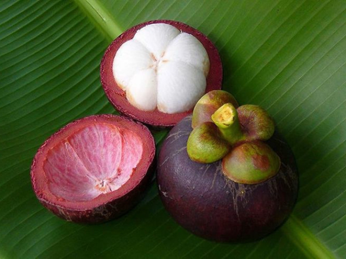 tropische früchte mangostin schale frucht