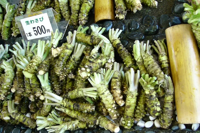 wasabi viele pflanzen auf dem markt in asia