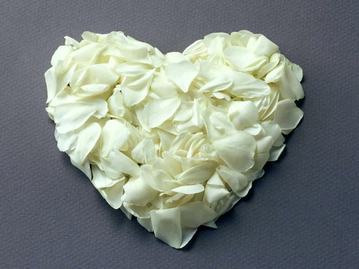 weiße rose herz dekoration romantisch unschuld