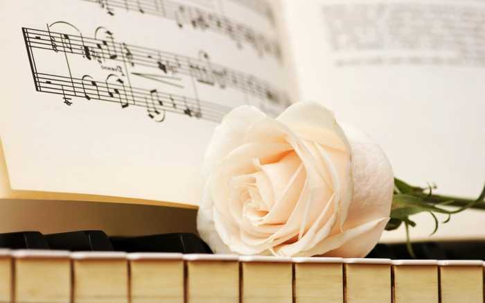 weiße rose musik romantik kunst