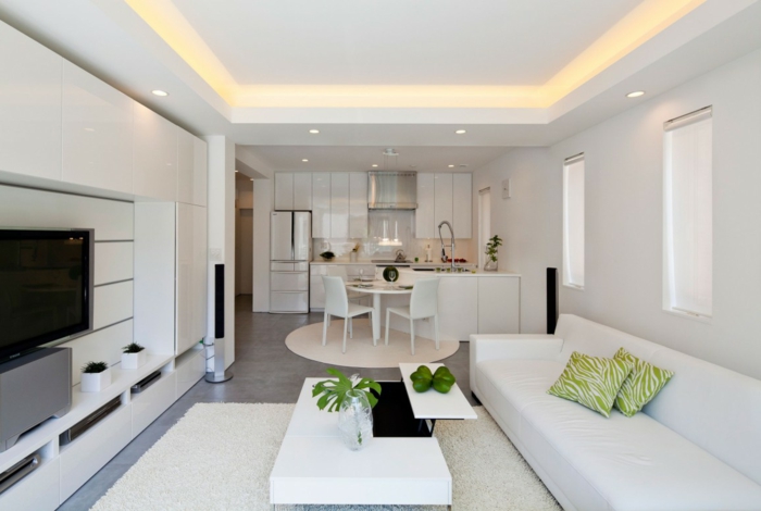wohnzimmer design weißes sofa pflanzen küche integrieren