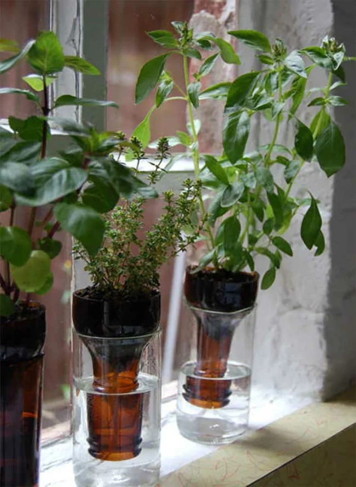 DIY ideen mit glasflaschen bastelideen jungpflanzen