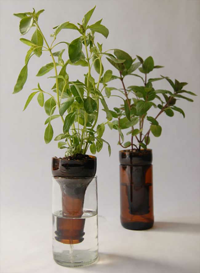 DIY ideen mit glasflaschen bastelideen pflanzentopf für jungpflanzen